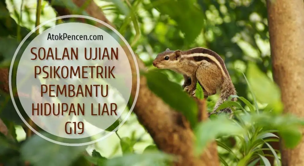 Contoh Soalan Ujian Psikometrik Pembantu Hidupan Liar G19 / G11