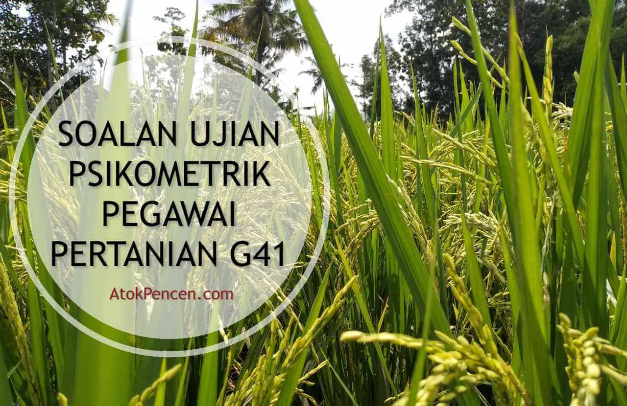 contoh soalan ujian psikometrik pegawai pertanian g41