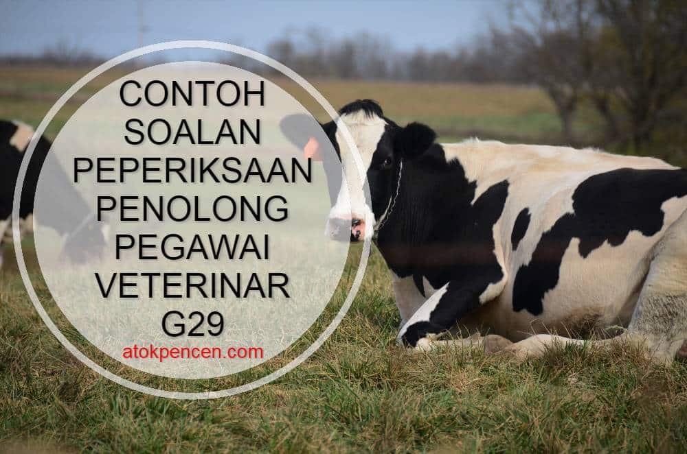Contoh Soalan Peperiksaan Penolong Pegawai Veterinar G5