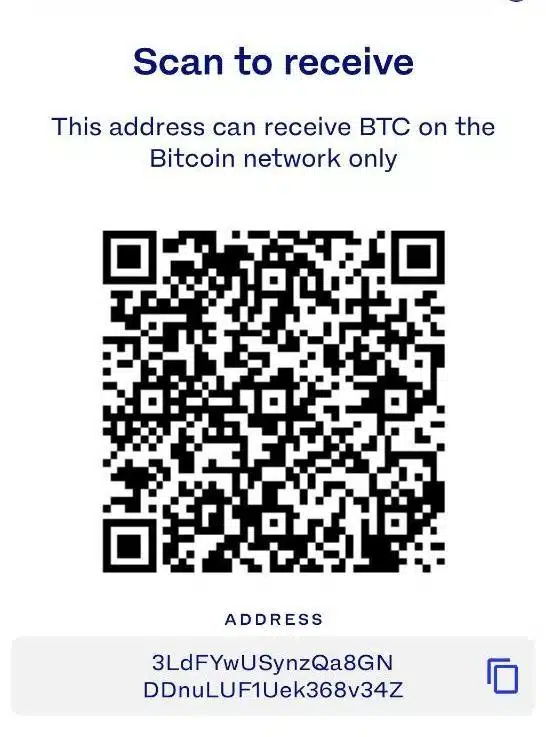 bitcoin payment